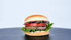 Classic Burger 